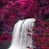 fcs_onluv11