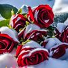 gul.user_