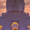 ani_ani031