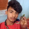 muhammad.ahlii