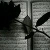 mahfudahmad4072