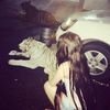 leel.aleeks