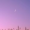 user8mvn74pa4k