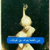 user1187285456384