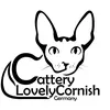 Cattery LovelyCornish