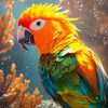 mango_the_conure_