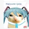 no_se_12311