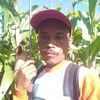 danileko2