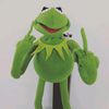 kermit_the_frogster
