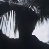 .danzfuck