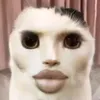 cc.thi.th