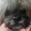 ihyonbalacanao