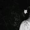 user81082873193318dian