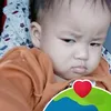 tqjudintqjudin
