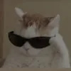 minhtoi112