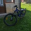 denus_4654