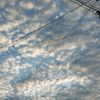 city_278