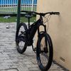 willtreg