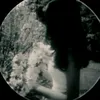 z_zis6