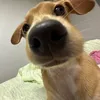 lkhwnhb27