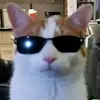 chriskiller2317