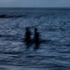 y2.sea