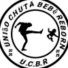chirleanerochachi