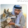 user4730184315009