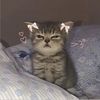 qween_926