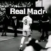 aliooooo313