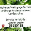 bucheron.nettoyage