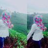spill17alinsya