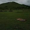 araknxxluay