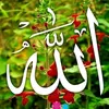 ALLAH❤