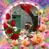 marieverde108