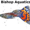 Bishop Aquatics