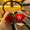 nzzir9429178622059