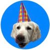 Epic Happy Birthdays