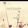 najieid41