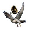 sheref455