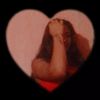 user3914600311611
