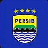 ridwan1304100
