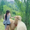 mukkbang_nguoi_xau