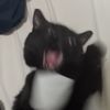 unique_pom