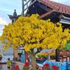 longtruong0041