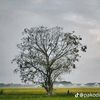 kaung.kaung.2457