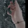 jdhhdbdbbdd
