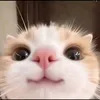oopsitsheyan