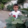 safi7290