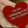 mssjano444